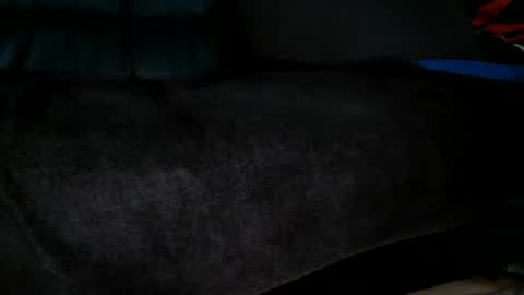 s online show from 06/30/26, 02:29