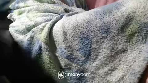 Snapshot of sunnybigboy88 chatting on 11/06/25, 07:04 sven online show from 11/06/25, 07:04