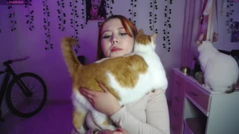 Sunset online show from 10/01/25, 06:41