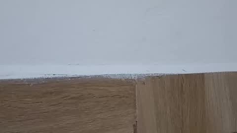 Annie online show from 10/06/25, 05:32