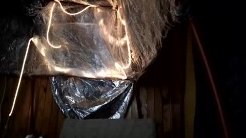 Snapshot of super_jony chatting on 10/01/25, 02:17 super jony and Marta GMT 1300-1800 every day online show from 10/01/25, 02:17