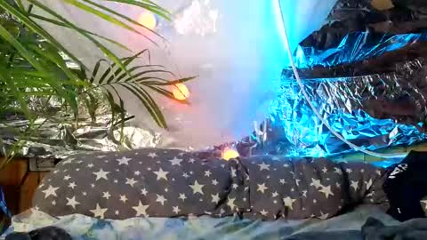 Snapshot of super_jony chatting on 10/09/25, 09:51 super jony and Marta GMT 1300-1800 every day online show from 10/09/25, 09:51