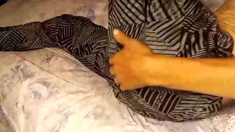 superdavedetailzz2025 online show from 09/19/25, 06:37