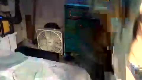 superdavedetailzz2025 online show from 10/28/25, 11:03