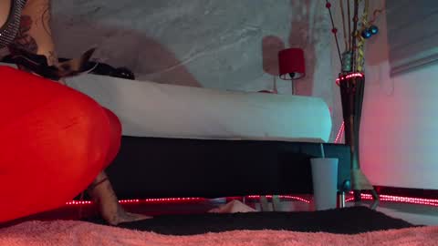    online show from 12/17/24, 10:54