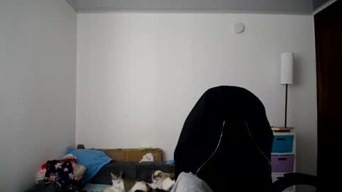 Susana online show from 07/04/26, 03:18