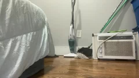 Snapshot of suzzy_q chatting on 03/07/25, 12:48 Just E F3M B0i online show from 03/07/25, 12:48