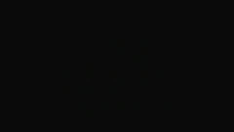 Swakken online show from 01/28/25, 08:47