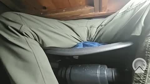 Snapshot of swamp486822 chatting on 02/05/25, 06:13 swamp486822 online show from 02/05/25, 06:13