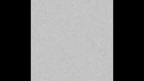 Eva and Tim online show from 10/31/25, 06:31