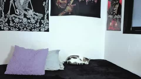 Snapshot of sweet__natashaa chatting on 04/06/26, 09:49 Natasha independent modelo online show from 04/06/26, 09:49