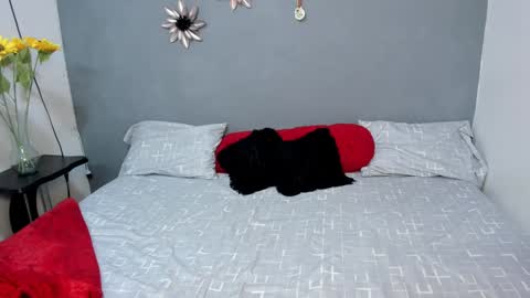 Sweet Amanda95 online show from 12/03/24, 12:16