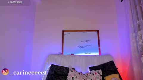 camil online show from 12/17/24, 10:34