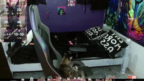 elizabeth grey online show from 09/20/25, 11:28