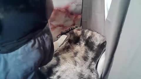 RUBY online show from 11/19/25, 02:55