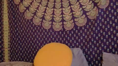 Snapshot of sweet_truffle chatting on 10/29/25, 01:57 Heidi Brenner - Please check bio for schedule FAQ online show from 10/29/25, 01:57