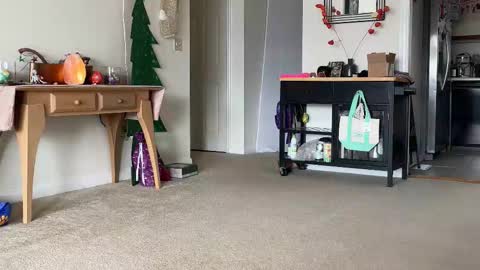 Snapshot of sweet_truffle chatting on 12/14/25, 02:33 Heidi Brenner - Please check bio for schedule FAQ online show from 12/14/25, 02:33