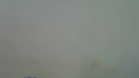 Alura online show from 11/30/25, 09:02