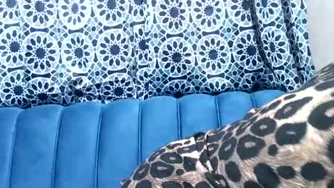 sweetgal11 online show from 07/03/26, 10:32