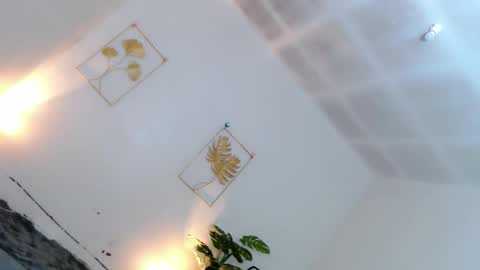 May online show from 12/01/25, 06:13