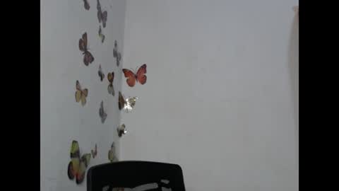 zuri online show from 07/26/26, 11:00