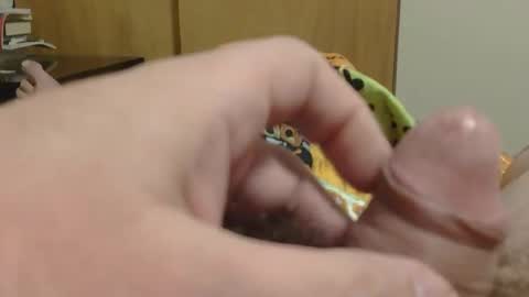 Snapshot of sweetrevengelol chatting on 12/19/25, 09:33 SweetRevenge online show from 12/19/25, 09:33