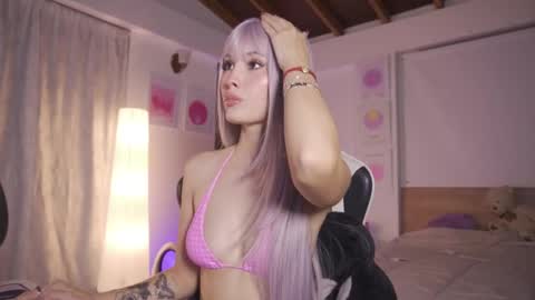 Cat independent model  online show from 02/10/26, 11:31