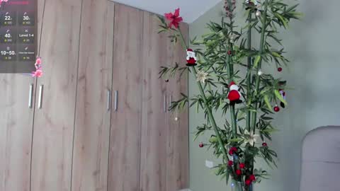    online show from 12/11/24, 04:20