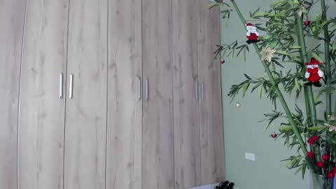    online show from 12/21/24, 11:02