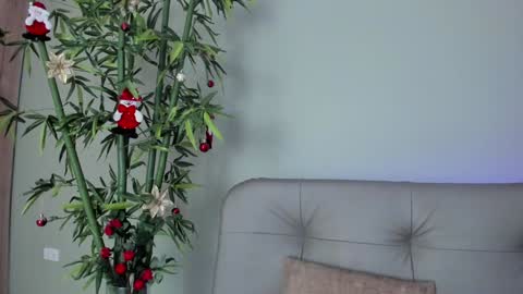    online show from 12/29/24, 10:36