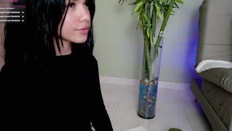    online show from 02/08/25, 11:13