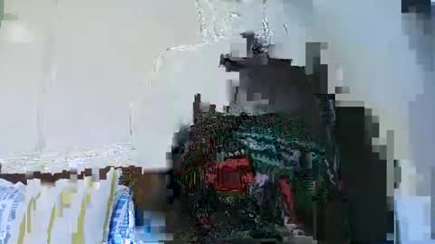 Cute vixen online show from 12/05/24, 12:44