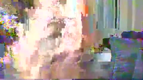 Cute vixen online show from 12/11/24, 02:30