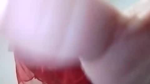 Snapshot of sweetwendi15 chatting on 02/08/25, 02:04 sweetwendi15 online show from 02/08/25, 02:04