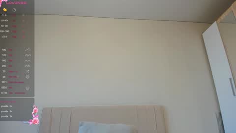 Vikky online show from 01/25/25, 03:19