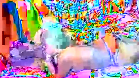 Sweetyummygirl online show from 09/22/25, 08:33