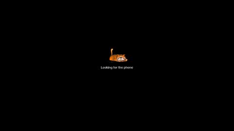 Brown Fox online show from 12/25/24, 05:58