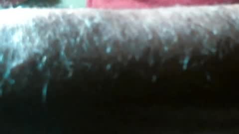 Snapshot of swizzle__stick chatting on 04/29/26, 09:57 will jeffers online show from 04/29/26, 09:57