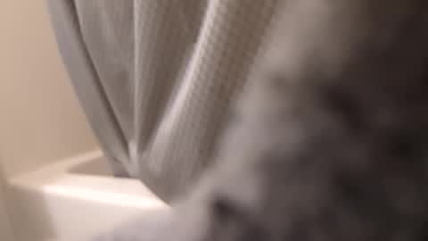 swollpole2112 online show from 09/14/25, 06:12