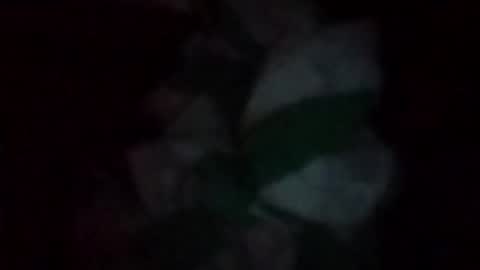 swollpole2112 online show from 05/16/26, 06:54