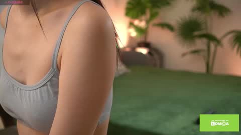 MEI online show from 11/27/25, 06:37