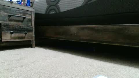 Snapshot of sxtn002 chatting on 12/20/24, 01:25 sxtn002 online show from 12/20/24, 01:25