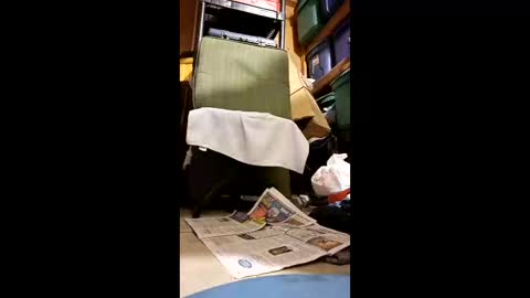 syevecrl online show from 05/11/26, 05:57