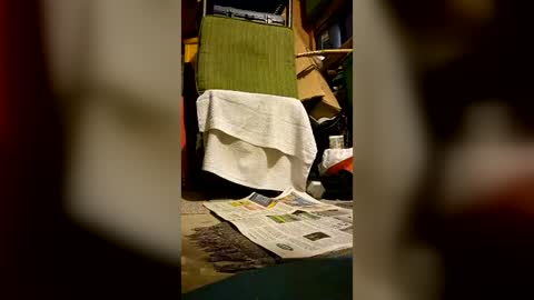 syevecrl online show from 07/02/26, 07:47