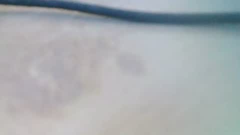 syrius57920 online show from 12/05/24, 08:22