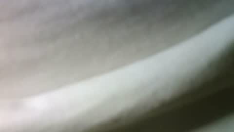 syrius57920 online show from 02/22/25, 05:46
