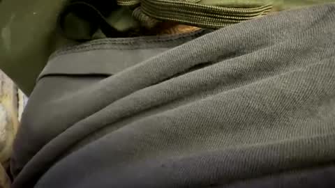 Snapshot of t265h chatting on 10/24/25, 01:03 tRex online show from 10/24/25, 01:03