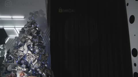 TAANNI online show from 01/27/25, 01:48