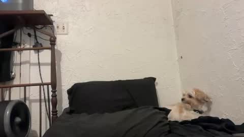 Talen James online show from 09/28/25, 10:26