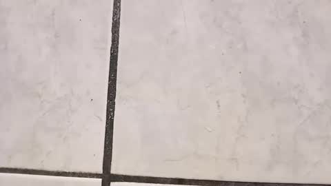 Snapshot of tall6feet7inch chatting on 09/29/25, 08:41 tall6feet7inch online show from 09/29/25, 08:41